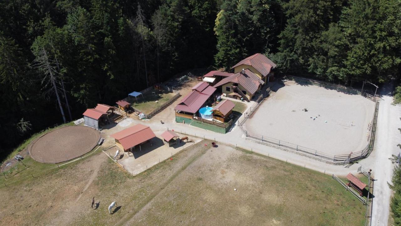 Country house Vineyard Paradise Senica